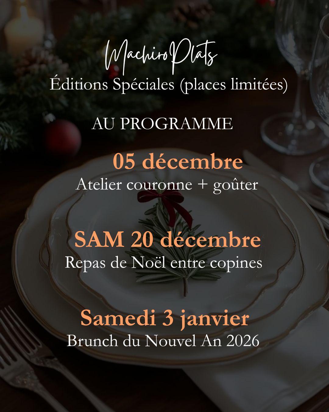 programme_machiroplats