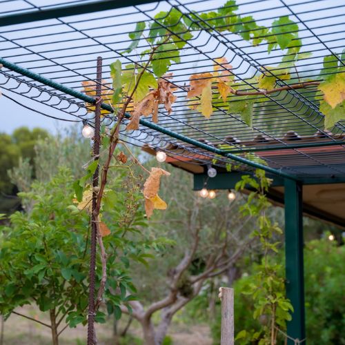 Potager_table_ciel_ouvert_Sixfourslesplages_3