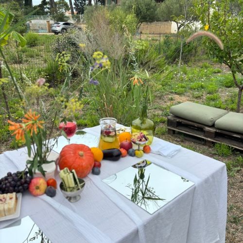 Potager_table_ciel_ouvert_Sixfourslesplages_5